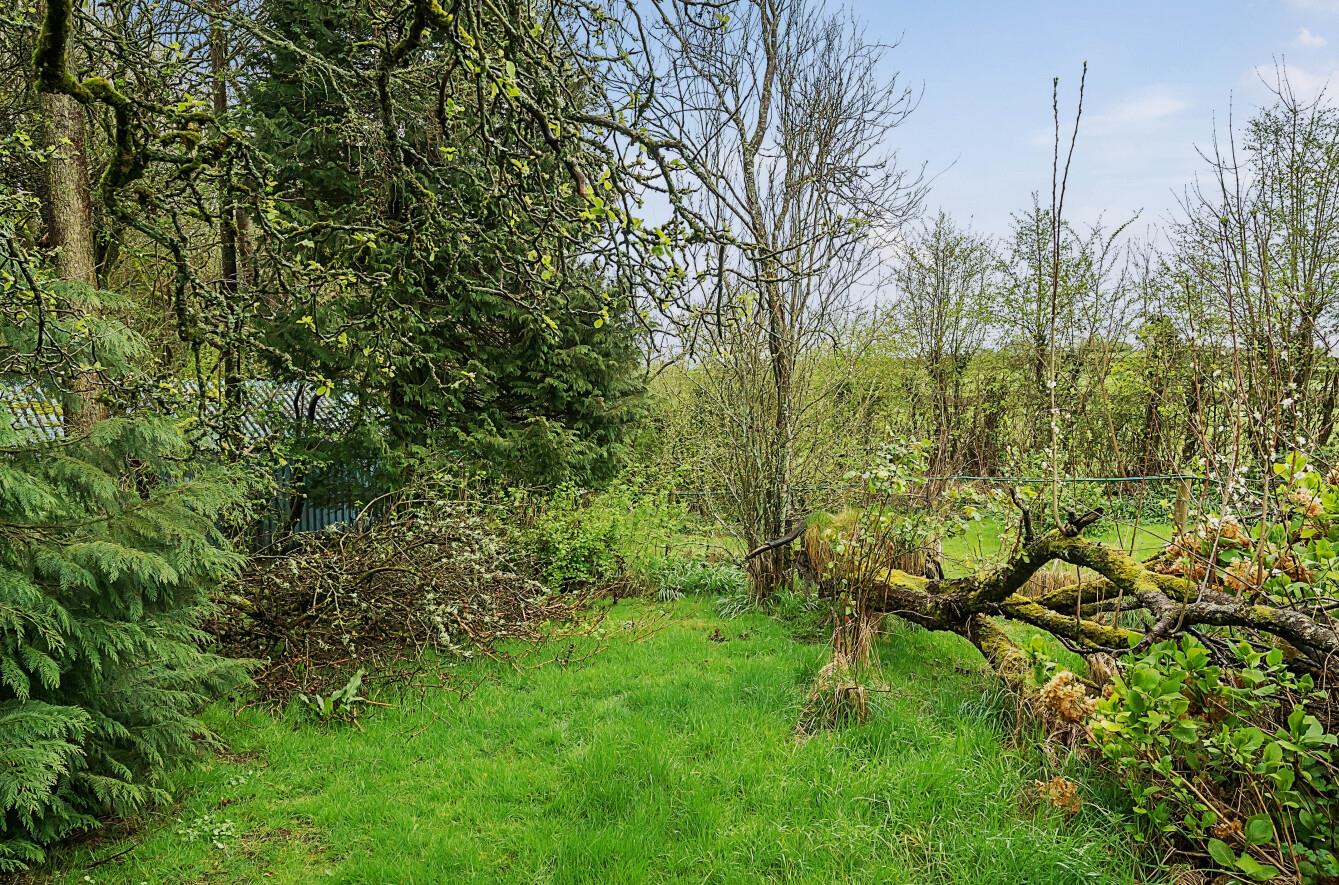 Lorton Road, Cockermouth Grisdales